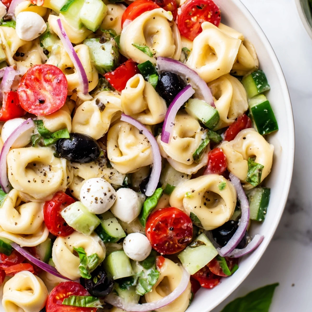 Colorful tortellini salad with cherry tomatoes, cucumber, and mozzarella tossed in zesty Italian dressing